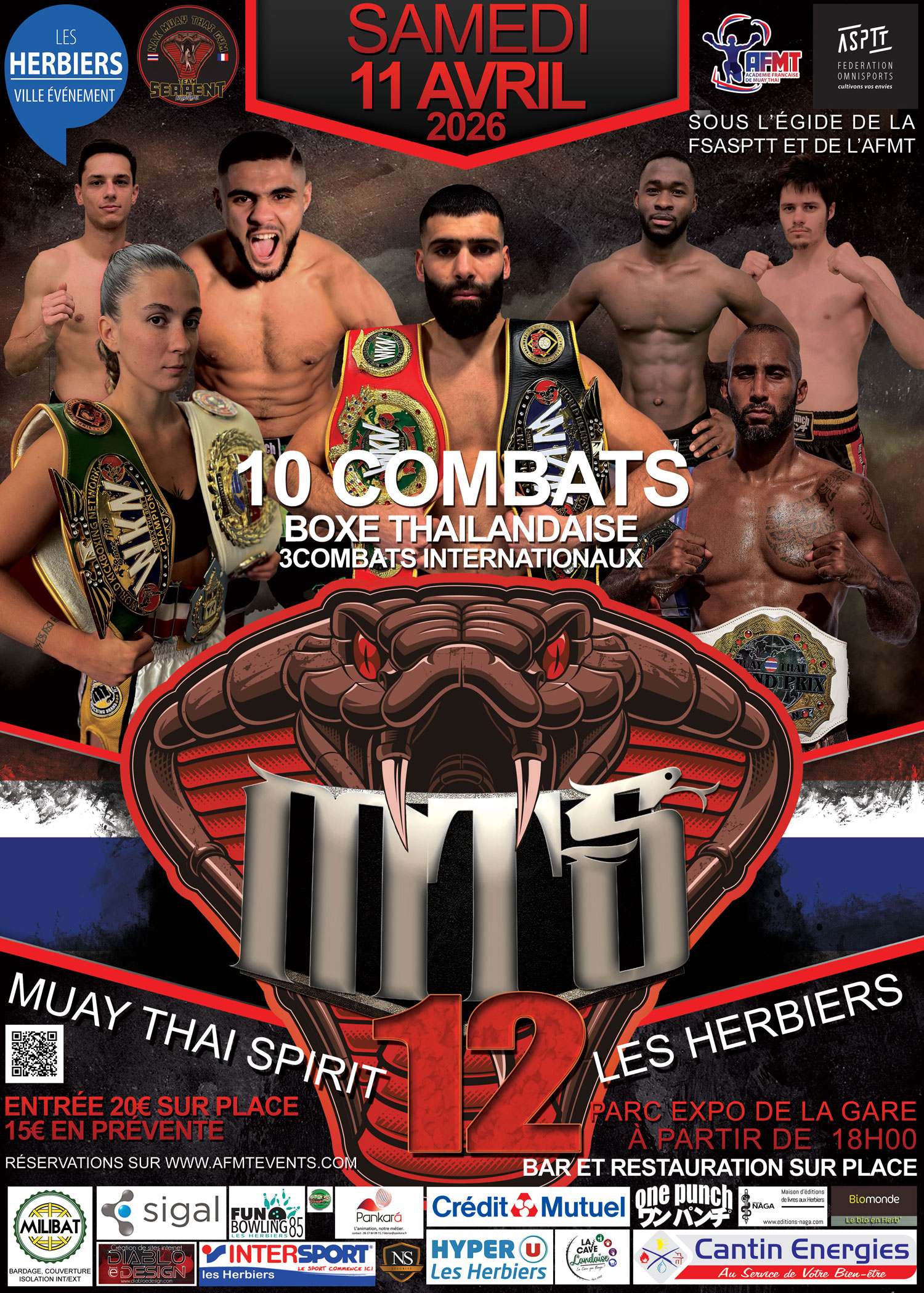 affiche mts12